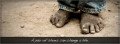 Step Up: Donate Shoes to Bring Confort and Hope