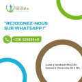 Stay Connected: Support Centre De Solidarite