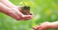 Plant Donation Request for Mother’s Day – Let’s Celebrate with Green Gifts!