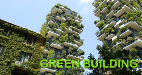 blog-image