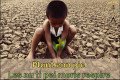 Planting of trees to initiate students towards agriculture
